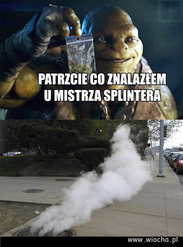 Żółwie ninja
