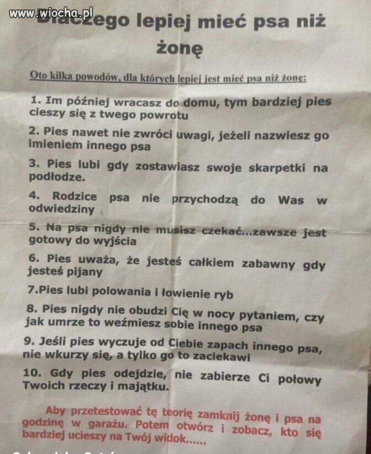 Dlaczego lepiej mieć psa niż żonę