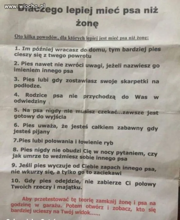 Dlaczego lepiej mieć psa niż żonę