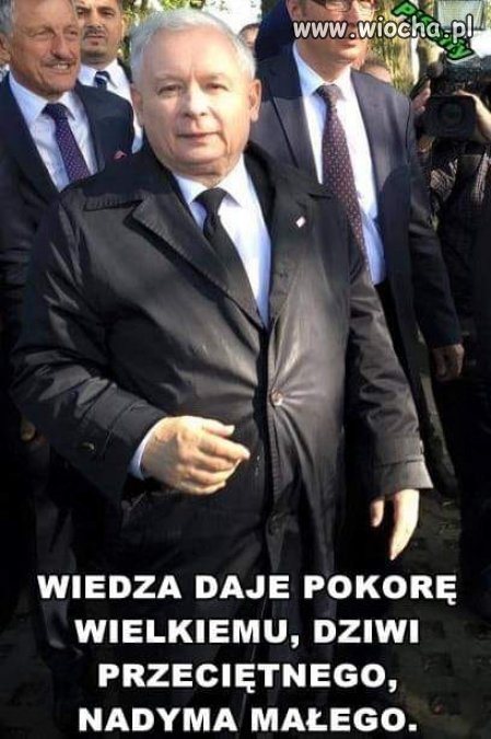 To widać, słychać i czuć ...