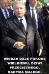 To widać, słychać i czuć ...