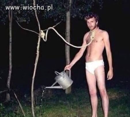 Będzie czekać na ...