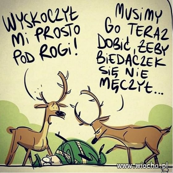Nosił wilk wilka, ponieśli i...