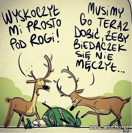 Nosił wilk wilka, ponieśli i...