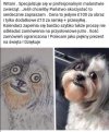 Sztuka naciągactwa 