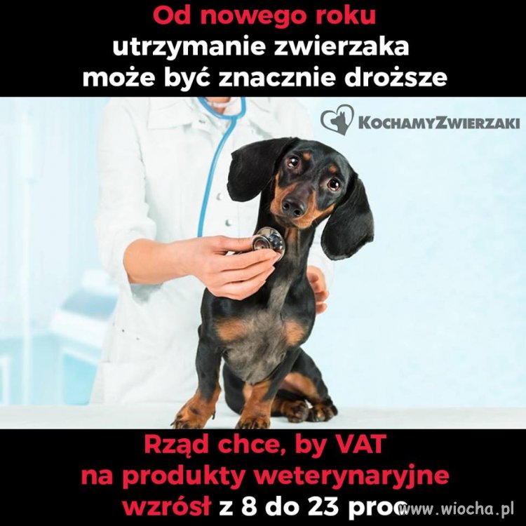 Ciekawe ile będą kosztować