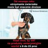 Ciekawe ile będą kosztować