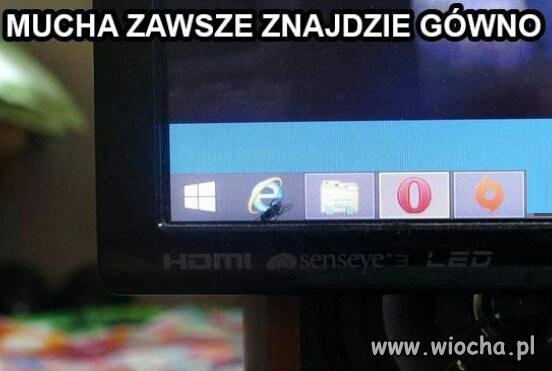 Muszka