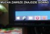 Muszka