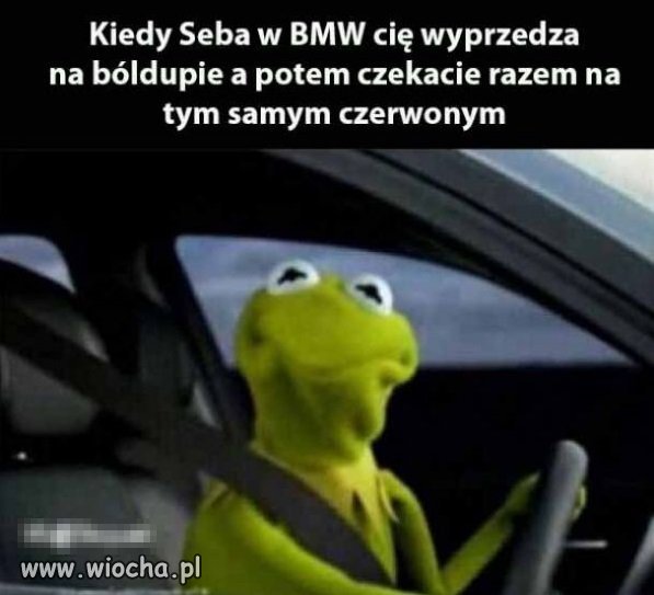 Typowy Seba