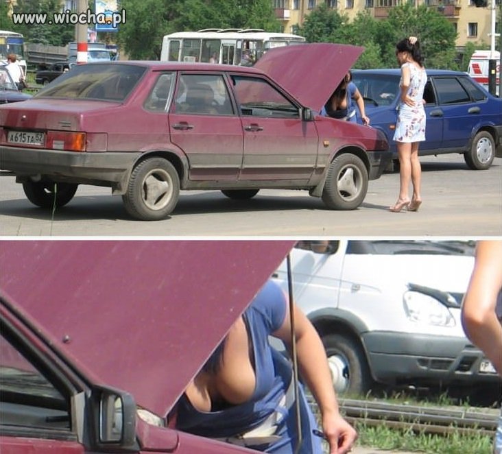 W życiu