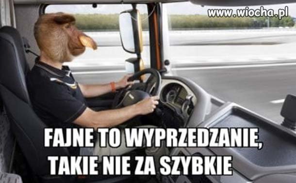 Janusz na autostradzie