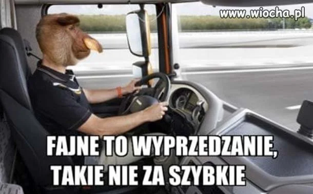 Janusz na autostradzie