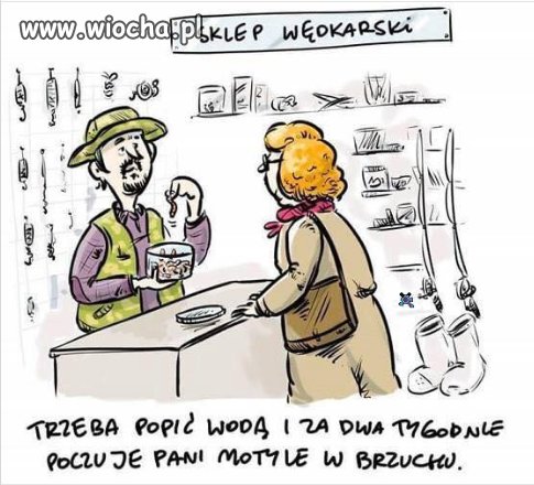 Teraz już wiem skąd  te motylki