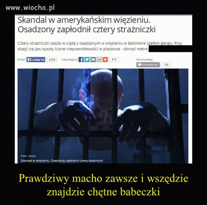 Prawdziwy "macho"