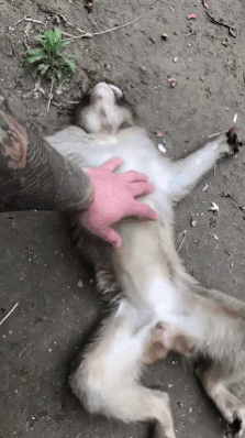 Mały test.