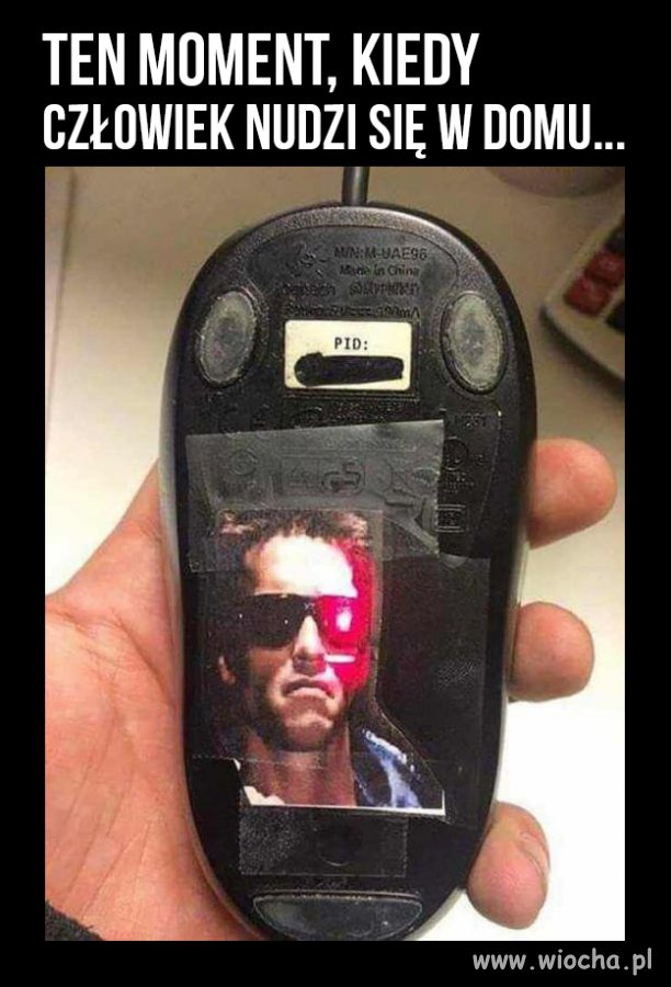Terminator