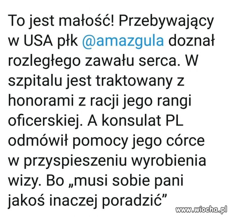 Państwo 