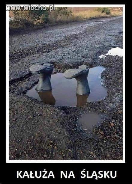 Tyle w temacie
