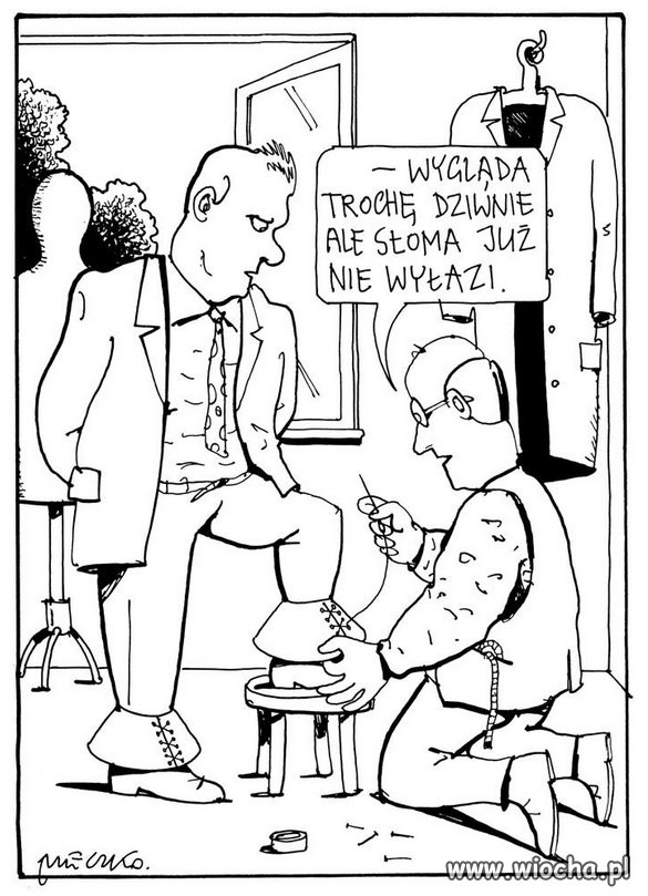 Dominik u krawca...