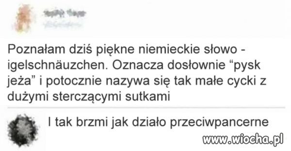 Nauka języków