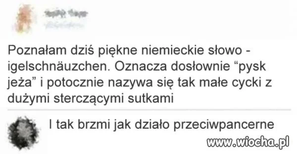 Nauka języków