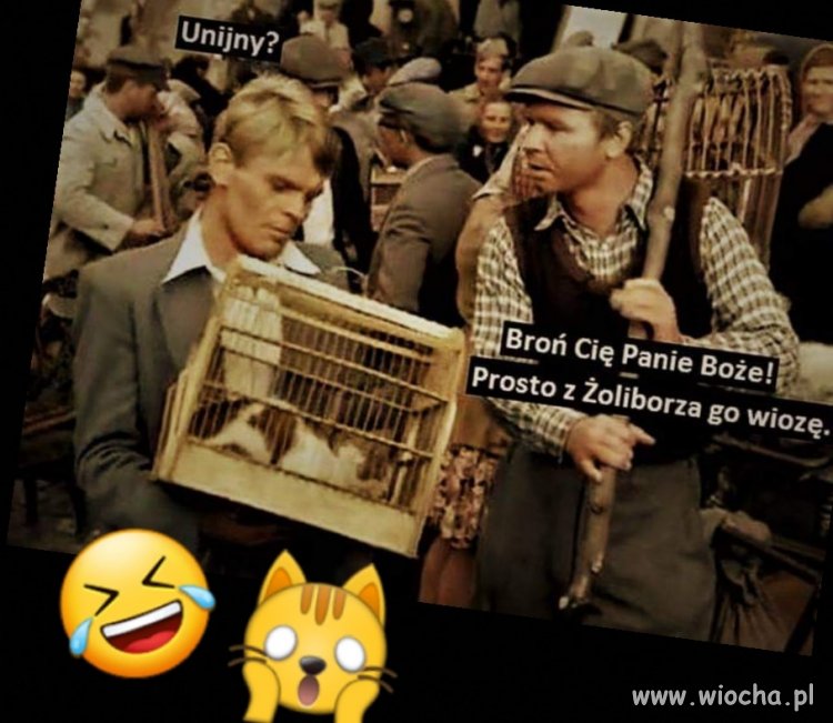 Jak z Żoliborza to pewniak 