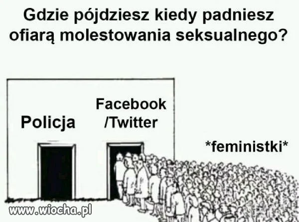 Logika feministek