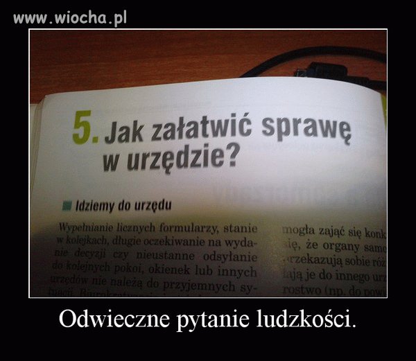 Oto jest pytanie