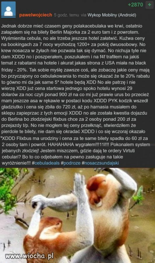 Cebulak
