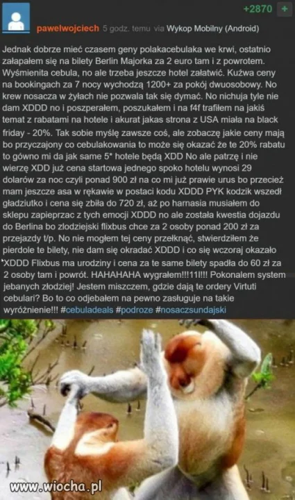 Cebulak