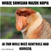 Somsiad