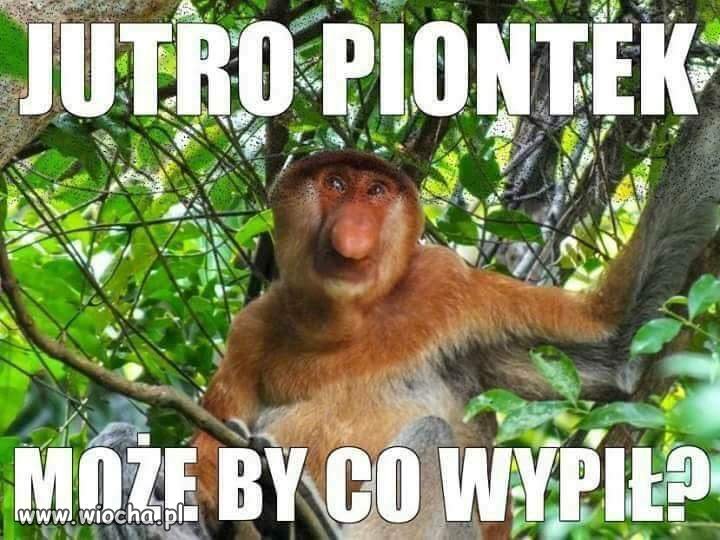 To już
