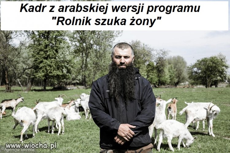 Rolnik szuka żony