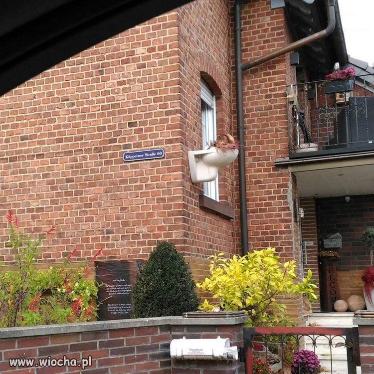 Sitzen schön dupen kwiaten !