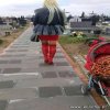 Cmentarianki
