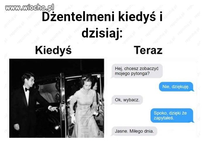 Coś w tym jest