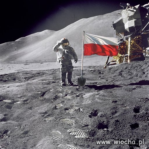 Sto lat Polsko !!