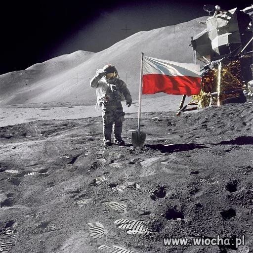 Sto lat Polsko !!