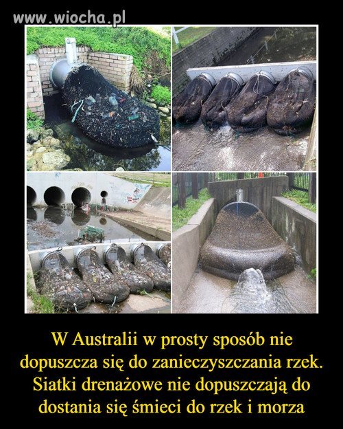 Świetny pomysł.