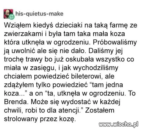 Troll koza