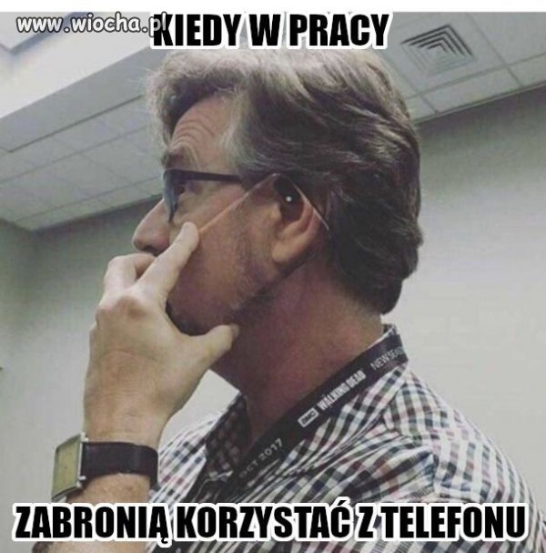 Mistrz kamuflażu