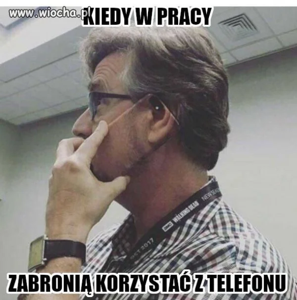 Mistrz kamuflażu