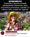 Jedyny sposób żeby normalnie żyć z emerytury