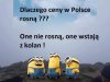 Jakże piękne wytłumaczenie