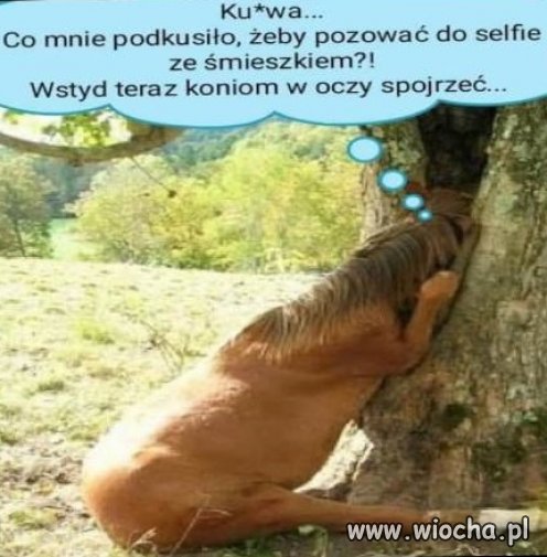 Spóźniona refleksja konia, który dał się ...