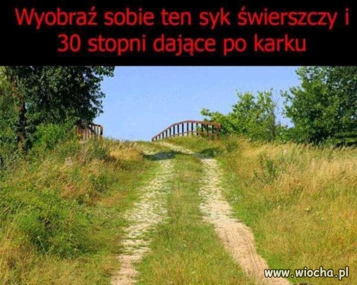 Tak źle i tak nie dobrze