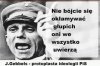 Ideologia 