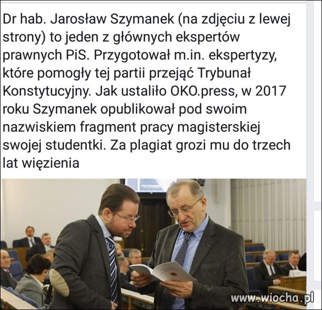 Ekspert od plagiatu