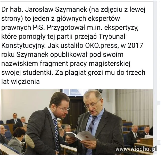 Ekspert od plagiatu